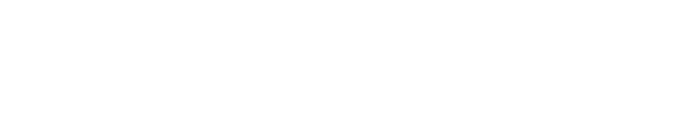 Damex App